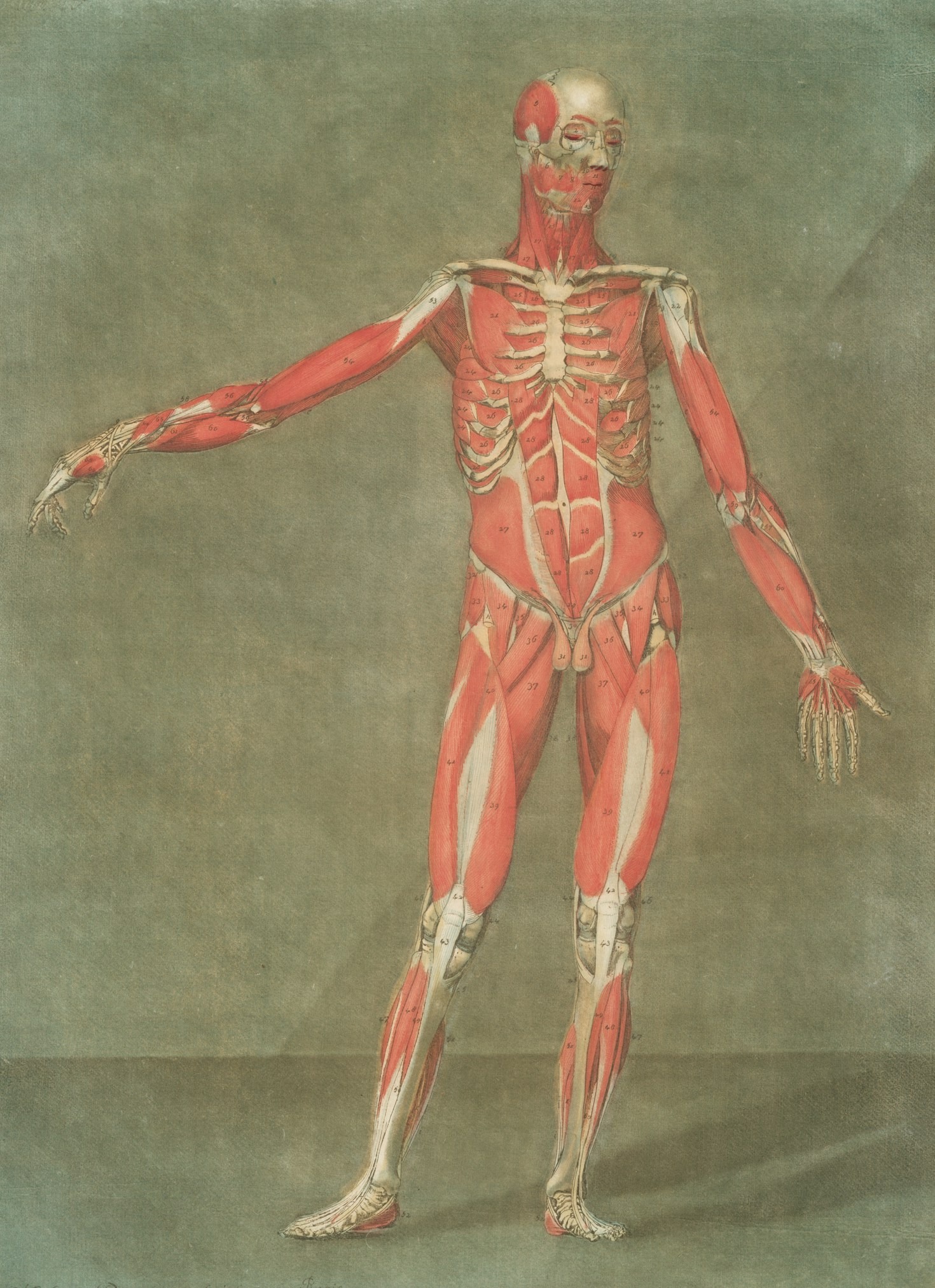 The Role of Research in Modern Injury Prevention